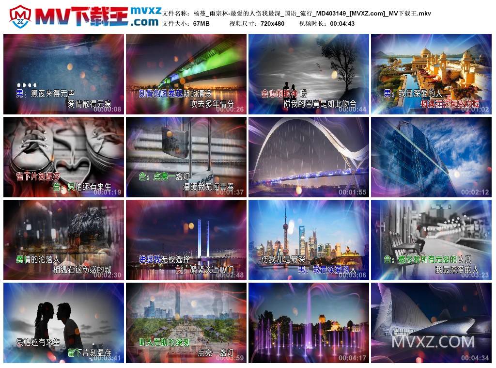 杨蔓_雨宗林-最爱的人伤我最深_国语_流行_MD403149